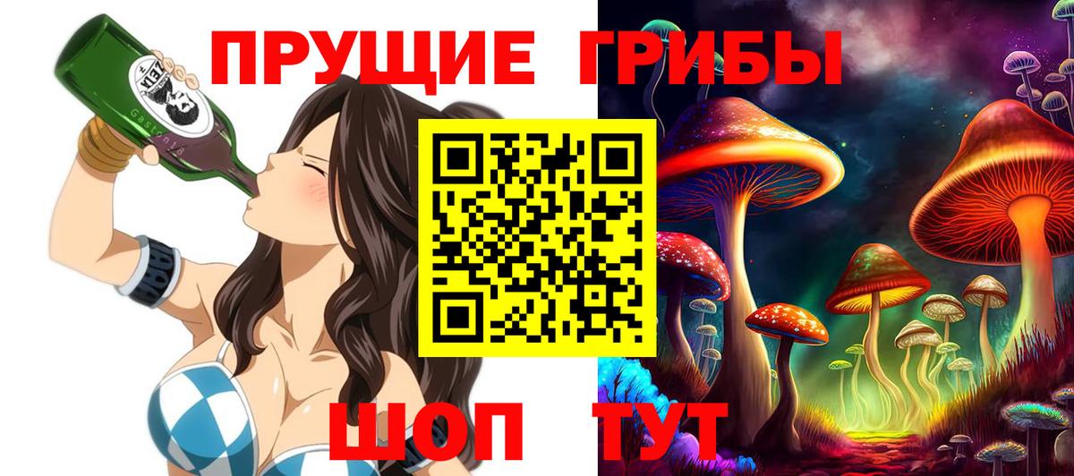 Псилоцибиновые грибы Cubensis Краснознаменск
