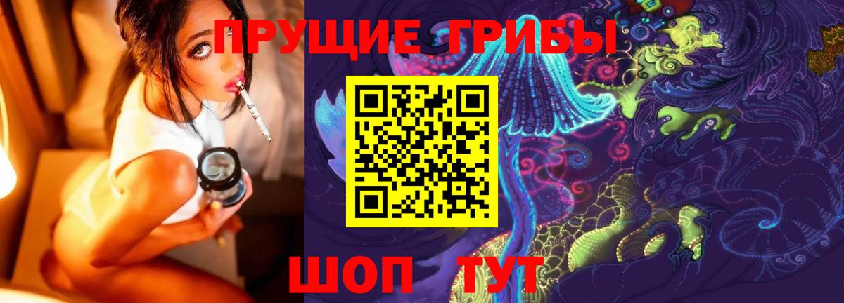 Псилоцибиновые грибы Psilocybe  Псилоцибиновые грибы Cubensis  Краснознаменск  Вход с VPN 